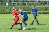 Biervliet/Hoofdplaat JO16-1 - S.K.N.W.K. JO16-1 (competitie) seizoen 2021-2022 (najaar) (28/42)